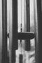 Dirt + Island Winds Pentatonic Wind Chime
